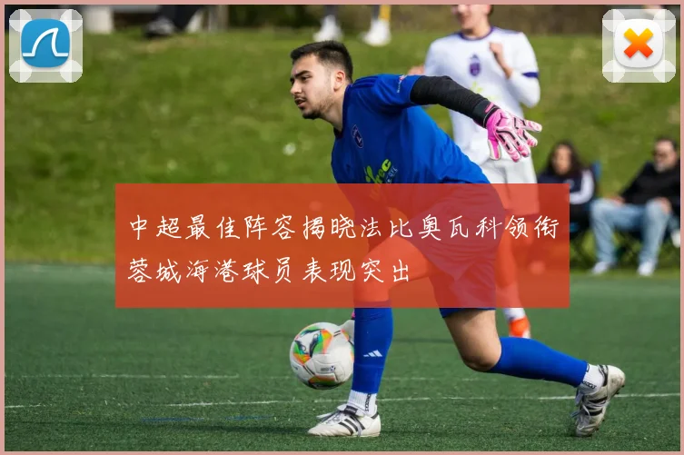 中超最佳阵容揭晓法比奥瓦科领衔蓉城海港球员表现突出