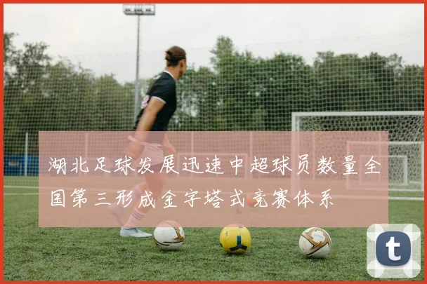 湖北足球发展迅速中超球员数量全国第三形成金字塔式竞赛体系