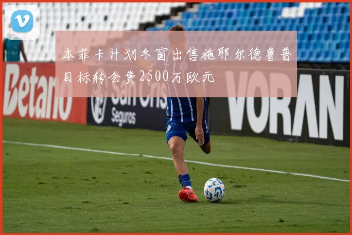 本菲卡计划冬窗出售施耶尔德鲁普目标转会费2500万欧元