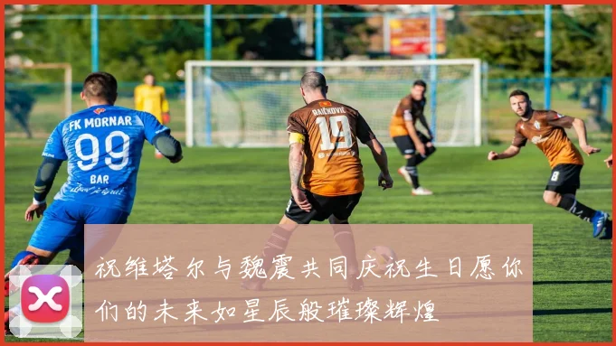 祝维塔尔与魏震共同庆祝生日愿你们的未来如星辰般璀璨辉煌