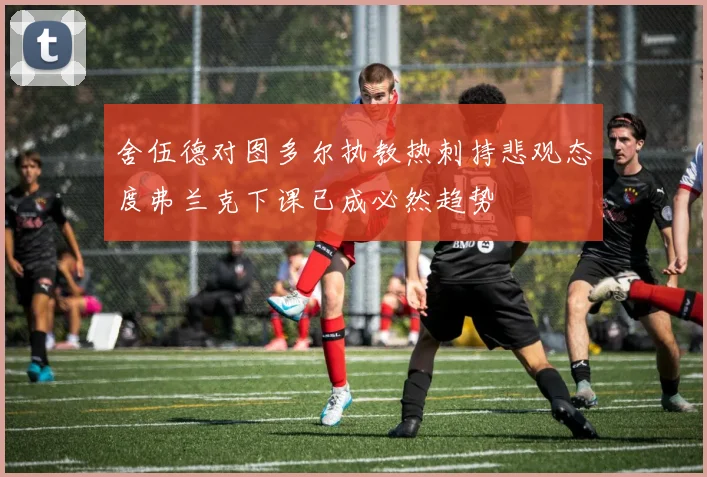 舍伍德对图多尔执教热刺持悲观态度弗兰克下课已成必然趋势