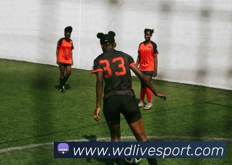 韦德体育APP 封面图